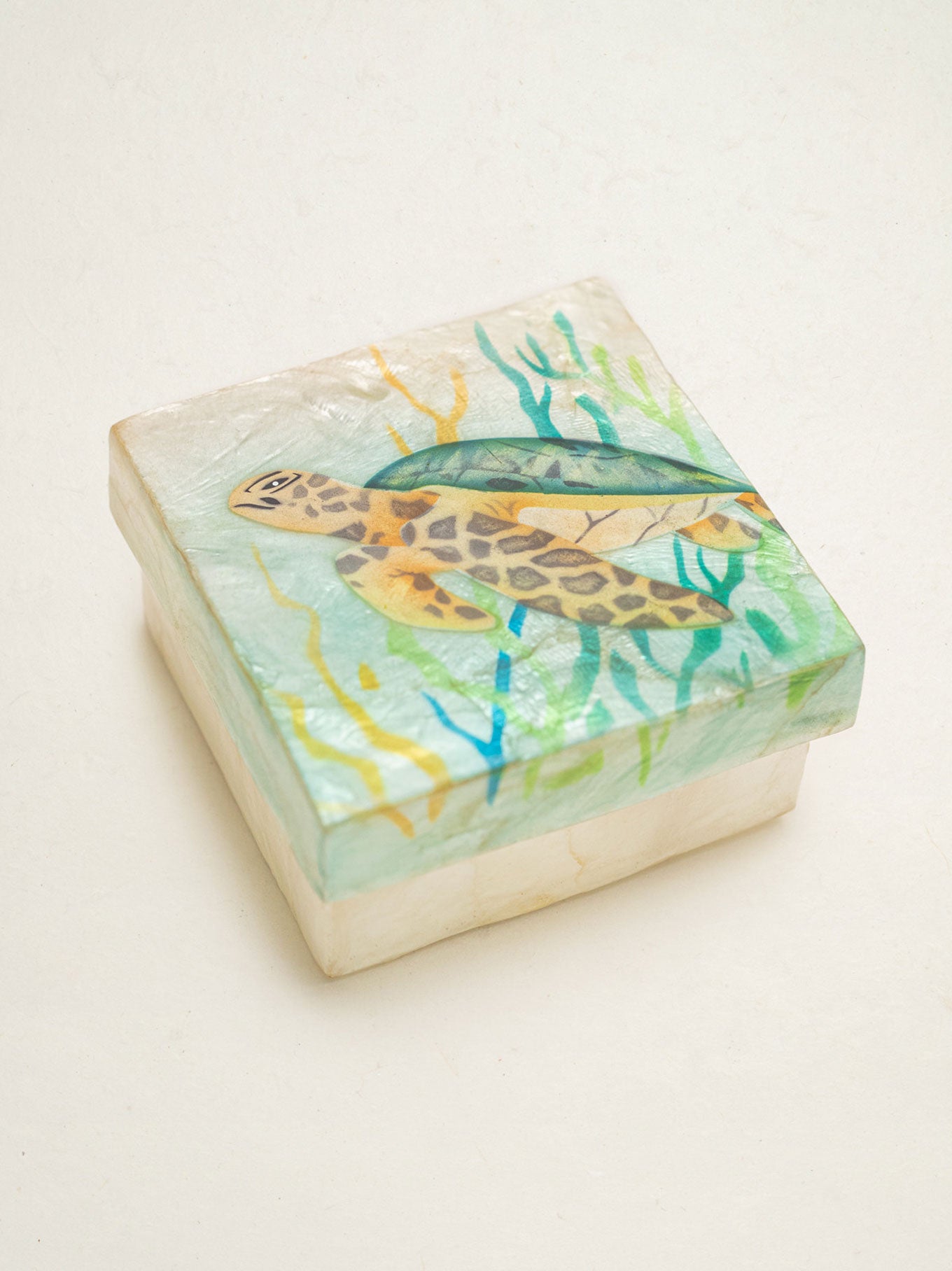 By The Sea Turtle With Seaweed Capiz Box with airbrushed art. – Holly Yashi