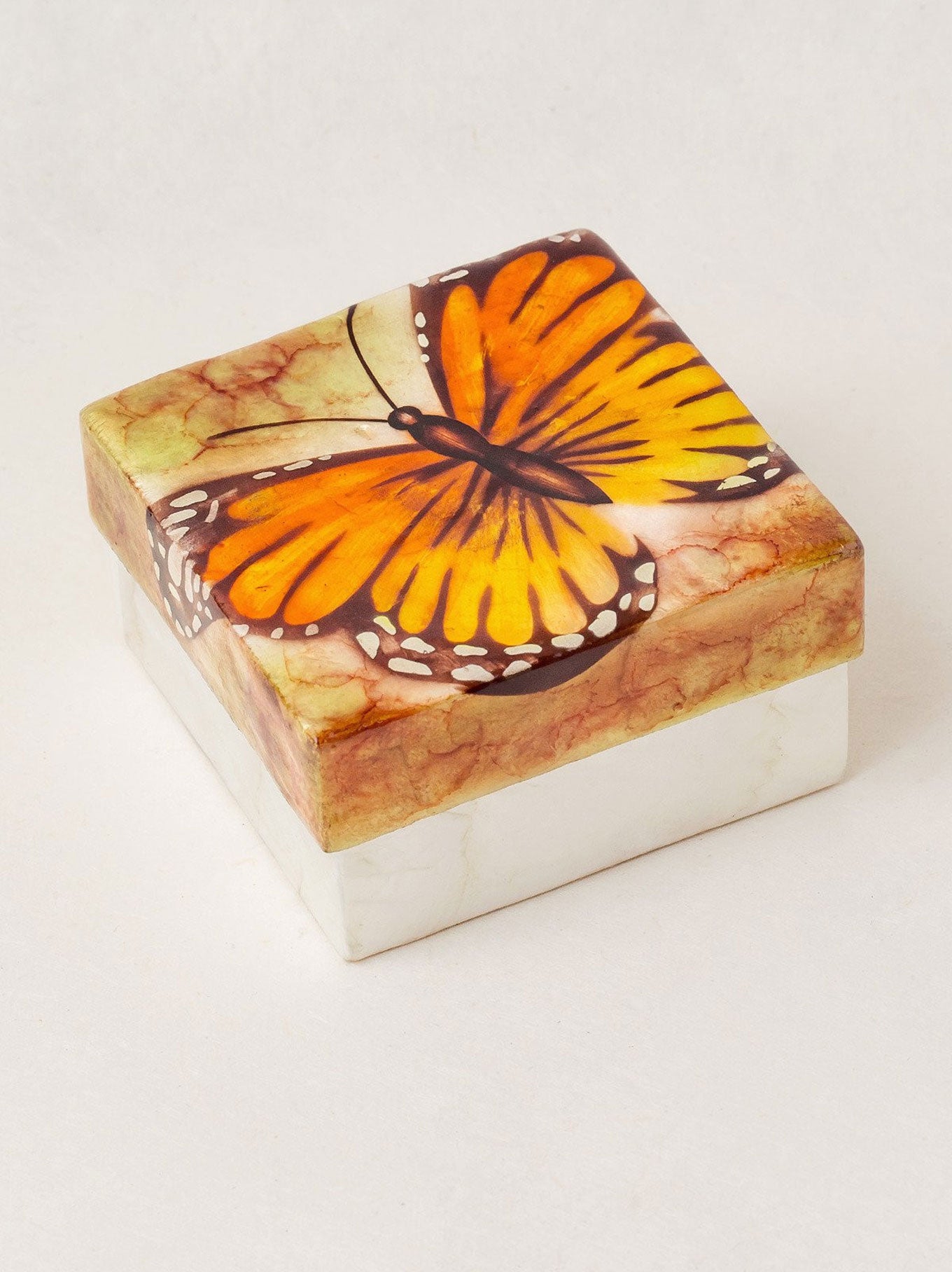 蝶の道 Butterflies Circle of Butterflies - Butterfly Nouveau Black/ Multi - Jackie