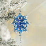 2025 Holiday Limited Edition Ornament C466624