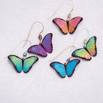 Bella Butterfly Earrings C146553