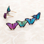 Petite Bella Butterfly Post Earrings C146237