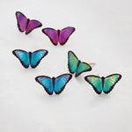 Petite Bella Butterfly Post Earrings C146234