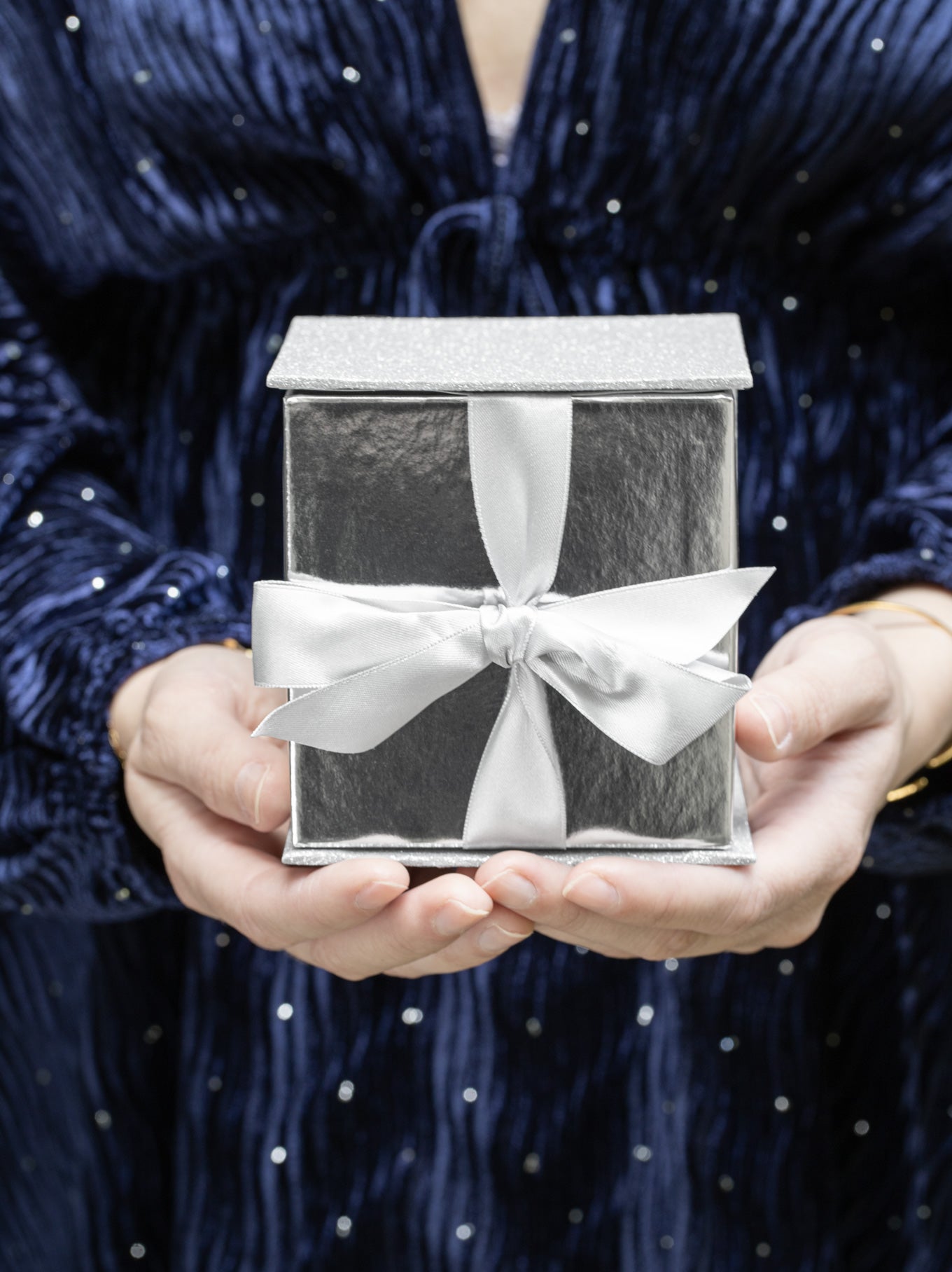 2025 Holiday Limited Edition Ornament C466623