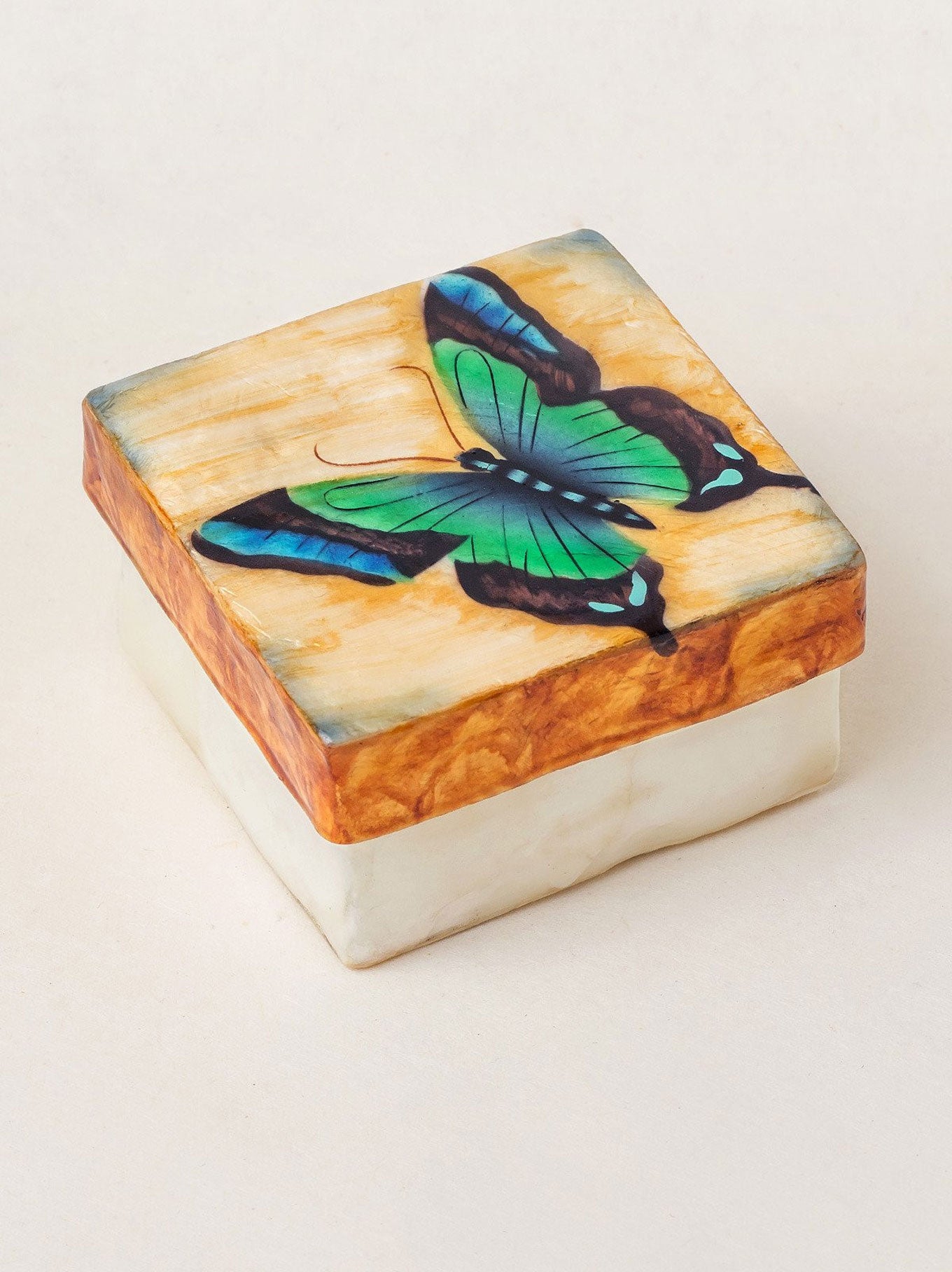 Ulysses Butterfly Capiz Shell Box – Holly Yashi