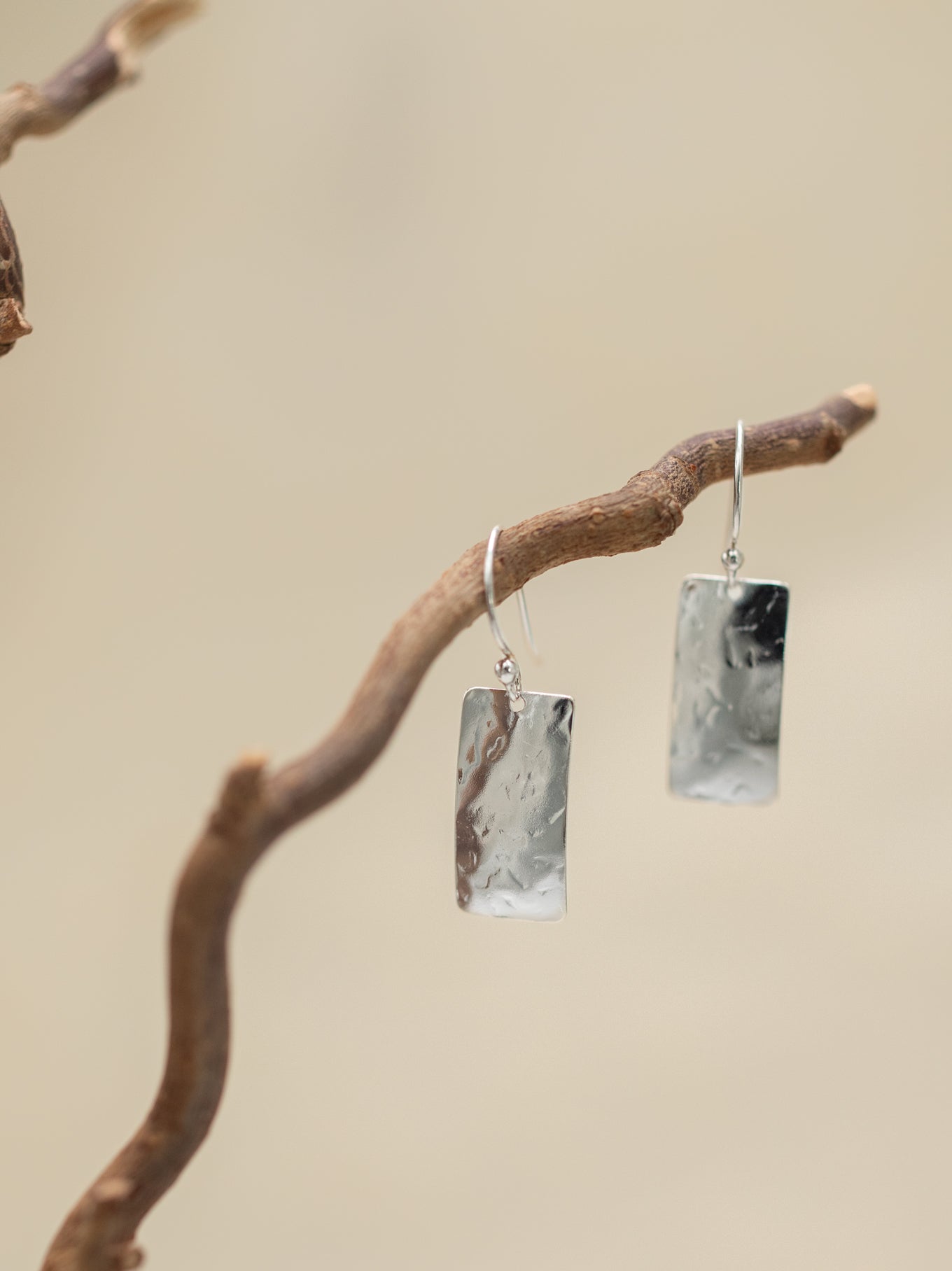 Petra Earrings C156934